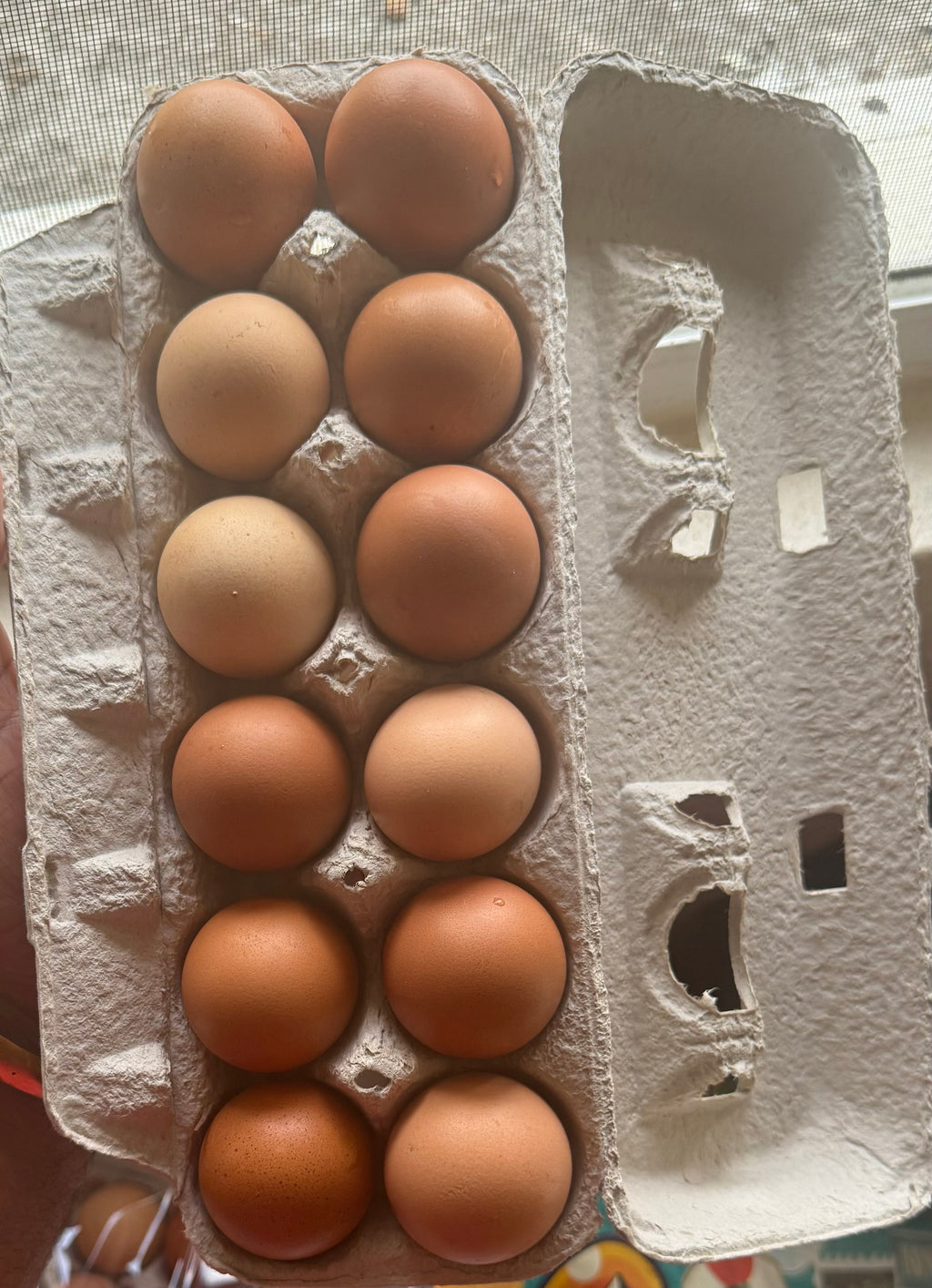 Pullets
