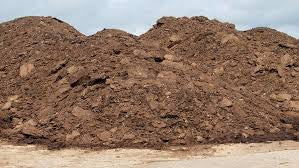 Chicken manure